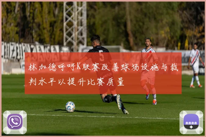 林加德呼吁K联赛改善球场设施与裁判水平以提升比赛质量
