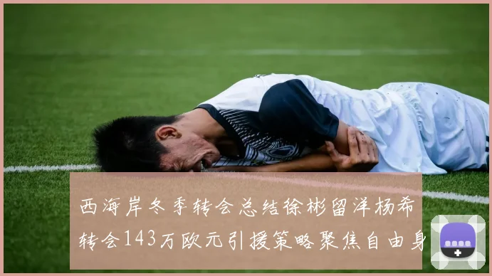 西海岸冬季转会总结徐彬留洋杨希转会143万欧元引援策略聚焦自由身球员