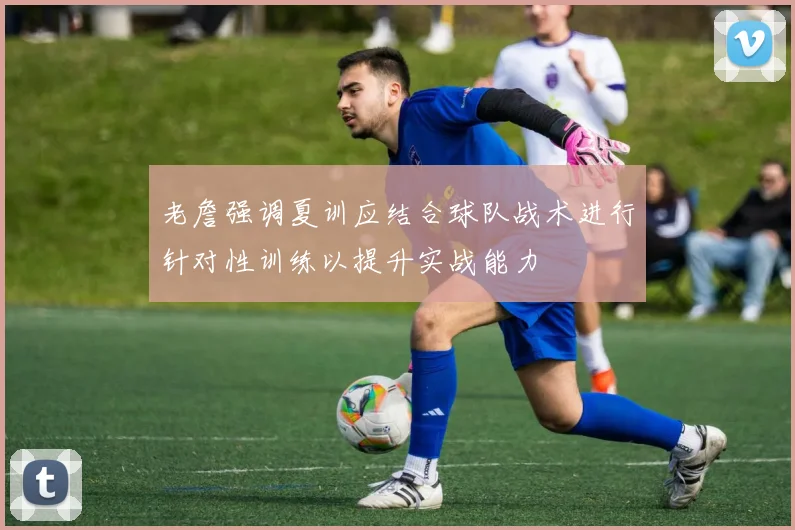 老詹强调夏训应结合球队战术进行针对性训练以提升实战能力