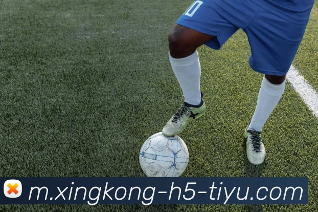 星空体育平台生态图