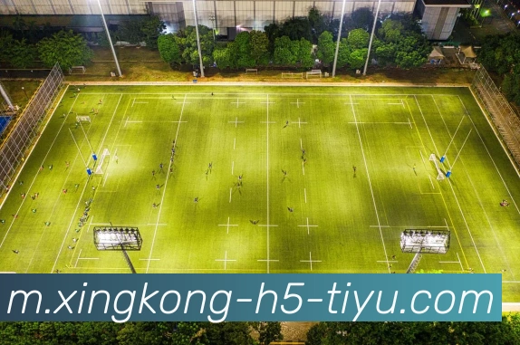 数据防护可视化